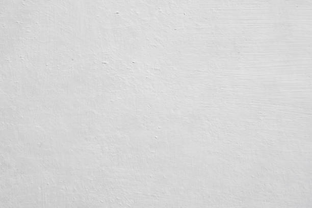 Professional Mold Removal in Murraysville, NC