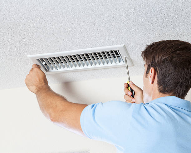 Best Basement Mold Removal  in Murraysville, NC