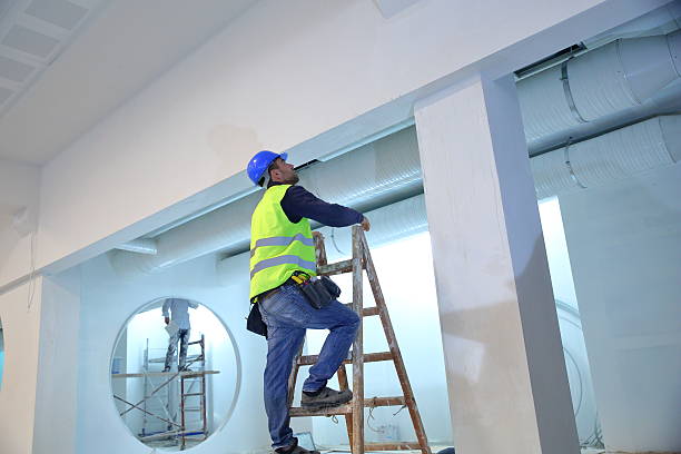 Best Mold Removal for HVAC Installations  in Murraysville, NC